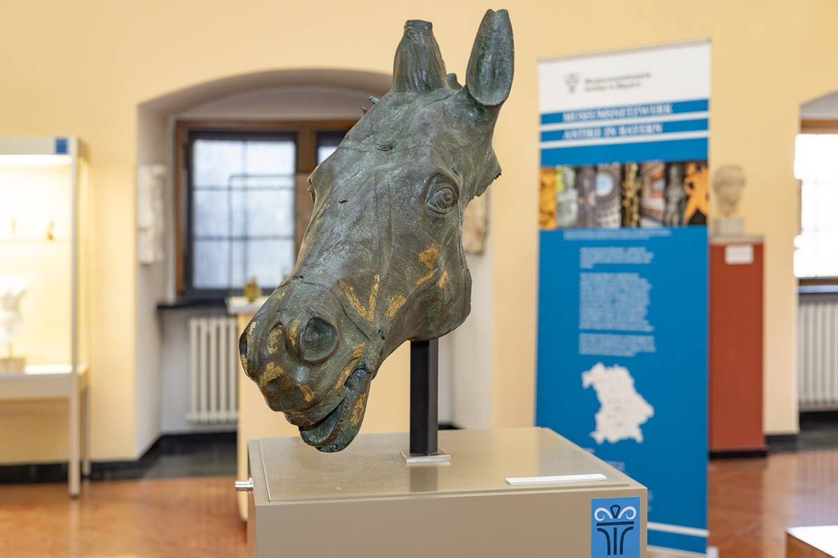 Die Replik eines Pferdekopfes aus dem römischen Augsburg bildet das Highlight der Ausstellung.
