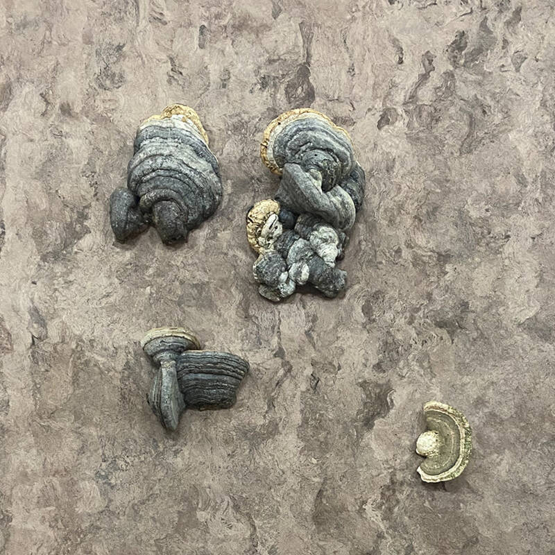 Ausschnitt aus einer abstrakten Skulptur des Zyklus »Capas – Schichtungen«.