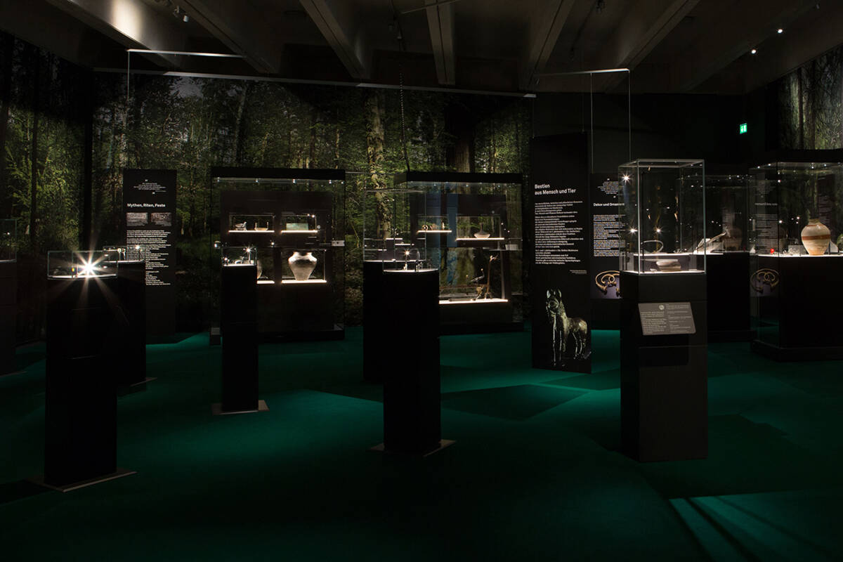 Großflächige Waldmotive und hinterleuchtete Vitrinenböden prägten die Ausstellungsgestaltung.